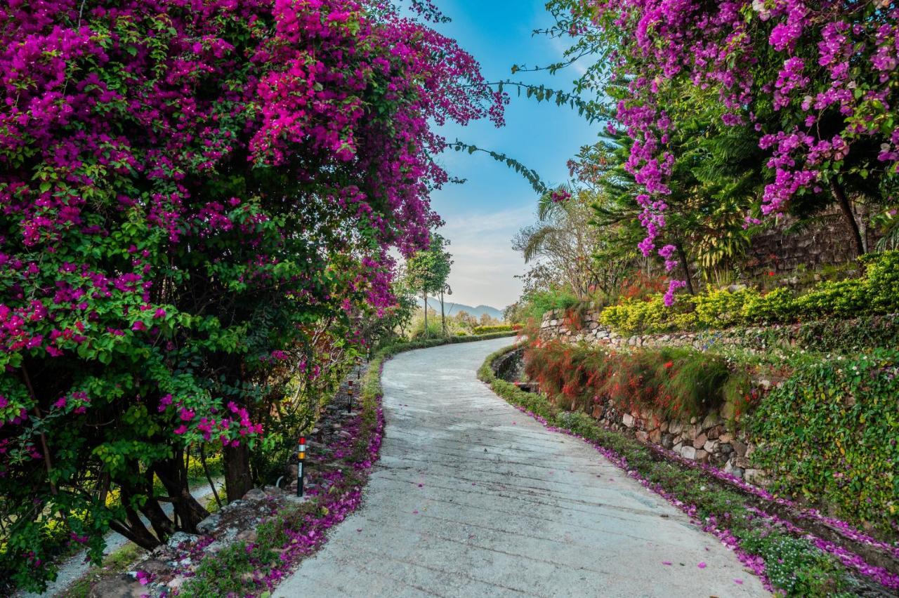 Tree Of Life Resort Dehradun Foothills Exteriör bild