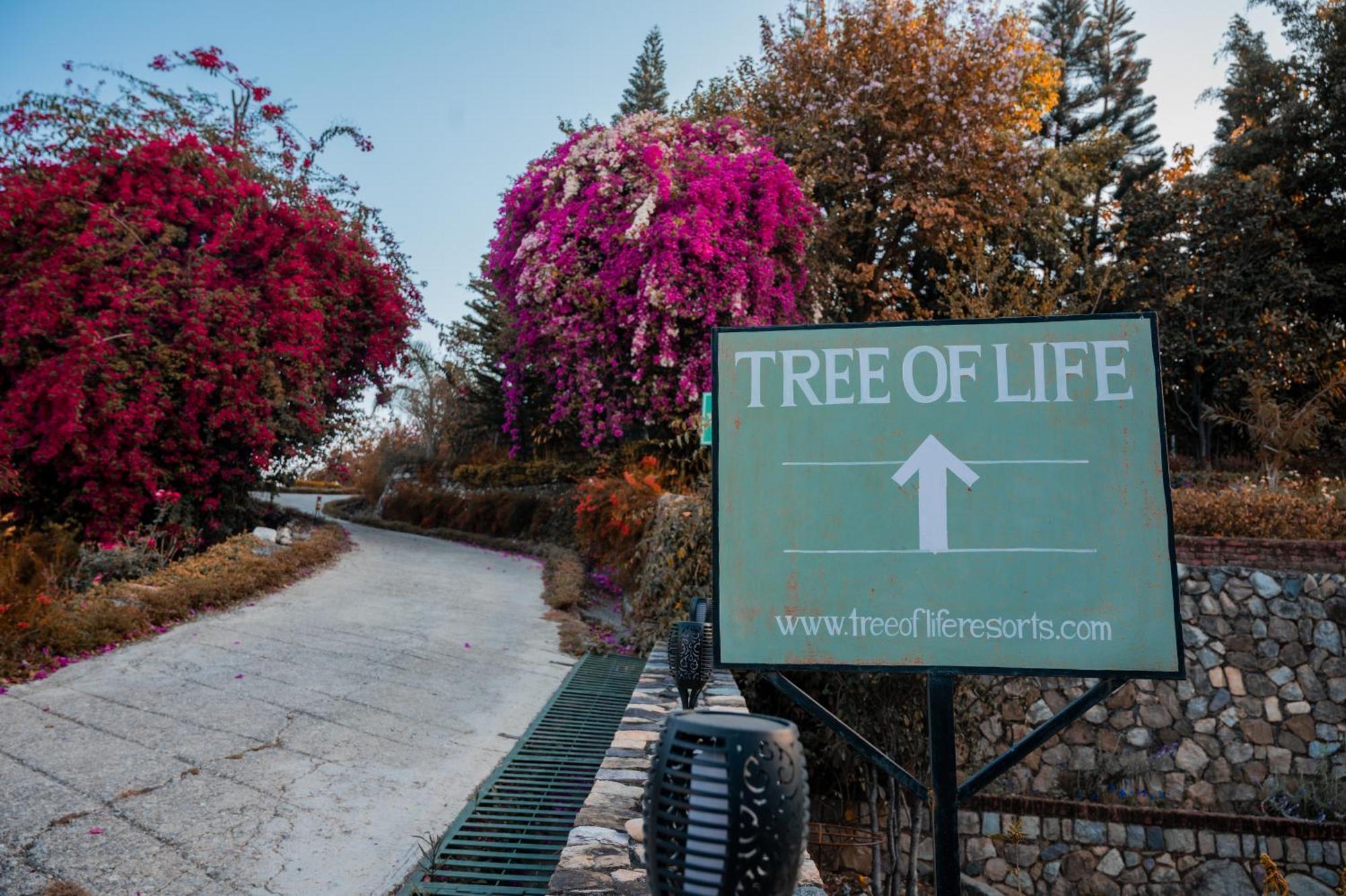 Tree Of Life Resort Dehradun Foothills Exteriör bild